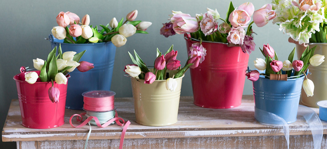 Fleurs de jardin et des champs