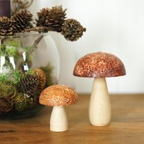 Article Champignons en bois champignons décoratifs décoration de table automne marron naturel 5×6cm 8pcs