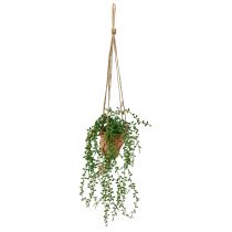 Article Plantes succulentes artificielles suspendues en pot 34 cm