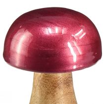 Article Champignons en bois champignons déco bois rouge brillant Ø6cm H10cm 2pcs