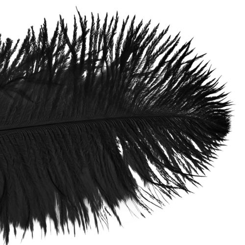 Article Décoration Plumes d&#39;Autruche Plumes Noires 32-35cm 4 pcs