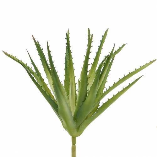 Floristik24 Aloe Vera artificiel Vert 26cm