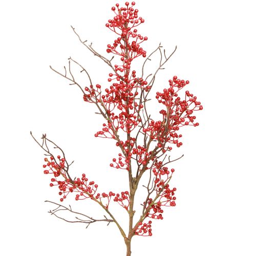 Floristik24 Branche de baies branches de baies rouges décoration automne hiver L78cm