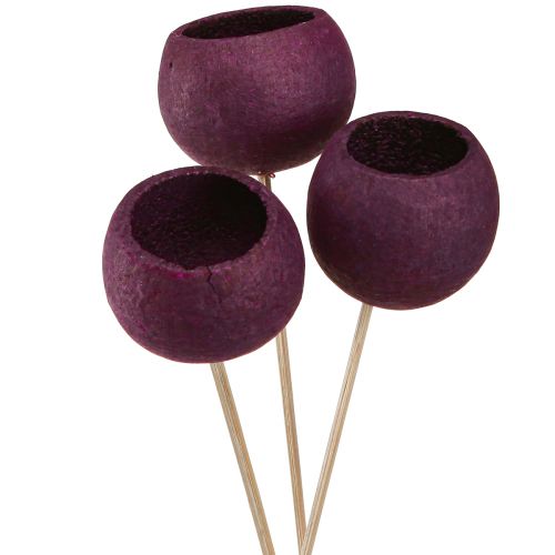 Floristik24 Coupe cloche sur bâton décoration sèche deuil fleuriste vin rouge 15 pcs