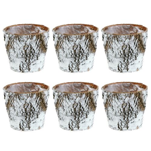 Article Pot bouleau petite jardinière bouleau blanc Ø10cm H8,5cm 6 pcs