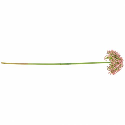 Article Allium artificiel Rose 55cm