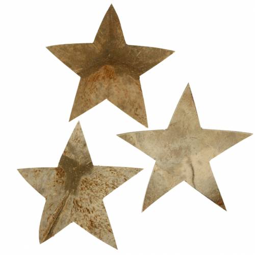 Noix de coco Star Nature 10cm 20pcs-25588