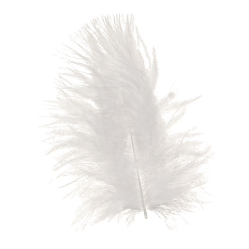 Plumes décoratives en blanc fournitures artisanales printemps 5-10cm 20g