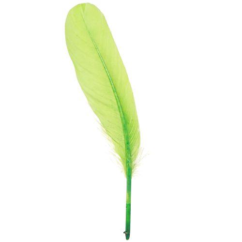 Plumes décoratives pour travaux manuels plumes d&#39;oie vert clair 20g x 2pcs