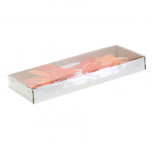 Floristik24 Papillon décoratif orange 12pcs