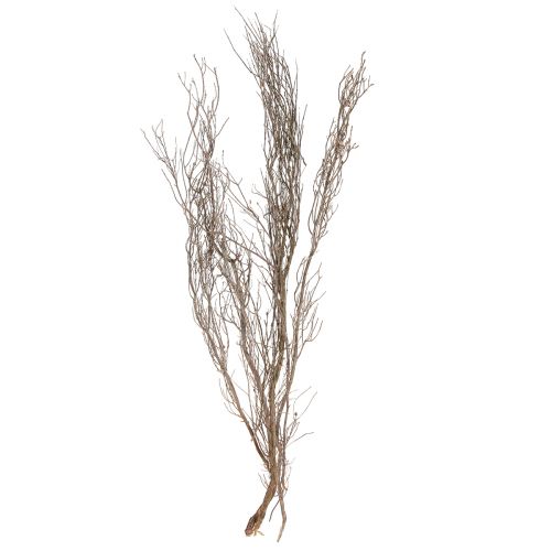 Branches décoratives Branches de thym décoratives naturelles séchées 500g