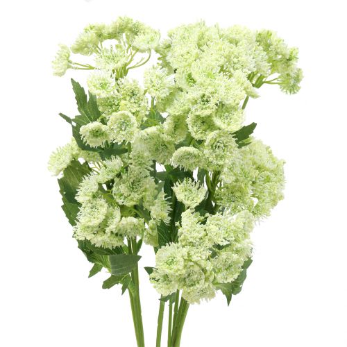 Floristik24 Aneth artificiel blanc 49cm 6 pcs