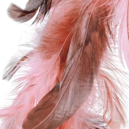 Article Couronne de plumes en décoration de plumes de faisan en rose Ø20cm 3pcs