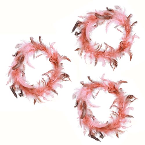 Article Couronne de plumes en décoration de plumes de faisan en rose Ø20cm 3pcs