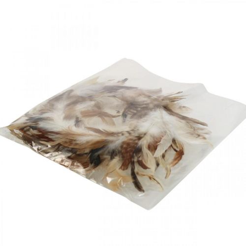 Article Guirlande de plumes déco plumes nature déco Pâques Ø15cm 4pcs