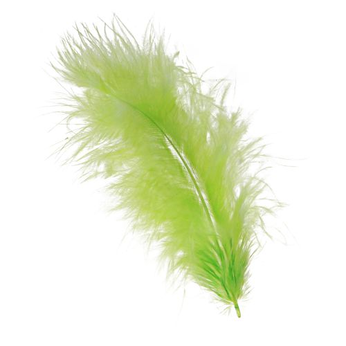 Article Plumes à bricoler en décoration de plumes vert clair 5-10cm 20g