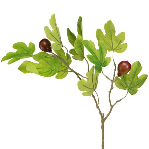 Floristik24 Branche de figuier, branche décorative, fruit décoratif, décoration de figue, 64 cm, 2 pièces