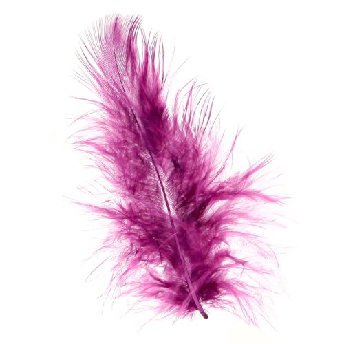 Floristik24 Plumes décoratives moelleuses bordeaux pour travaux manuels 5-10cm 20g