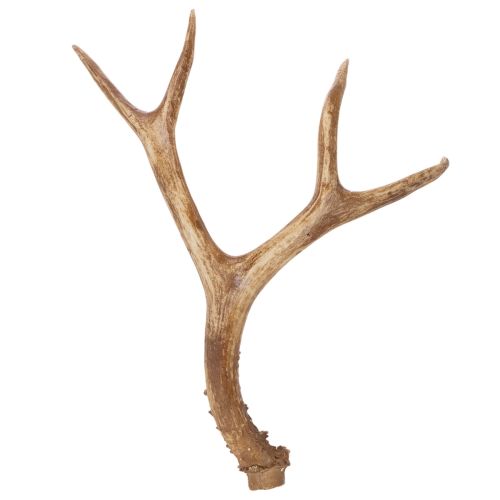 Article Geweihe décoratif en résine 32 cm tons naturels pour intérieur