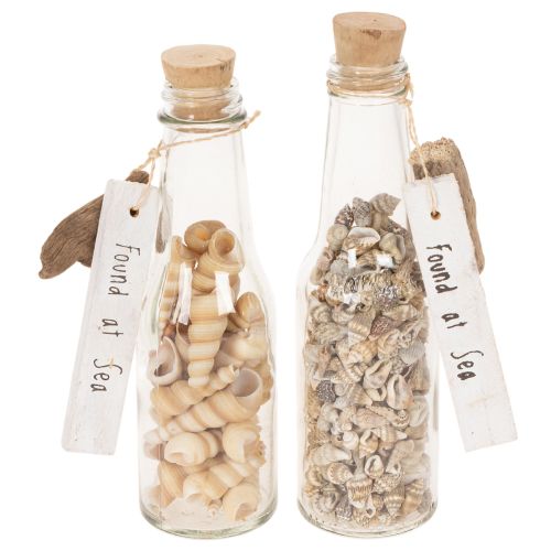 Article Set de 2 bouteilles en verre décoratives avec coquillages et bouchon en liège 17 cm