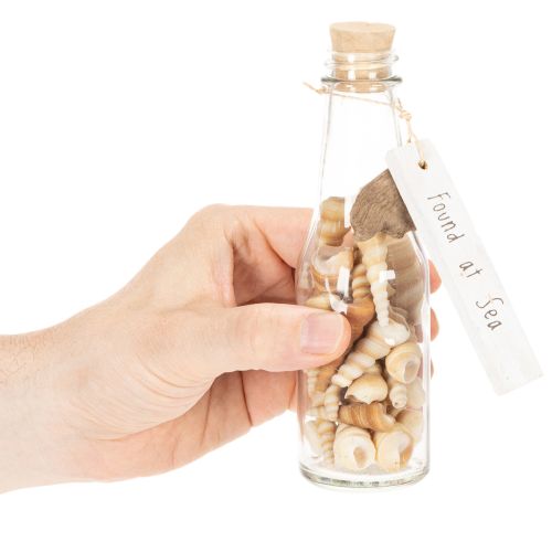 Article Set de 2 bouteilles en verre décoratives avec coquillages et bouchon en liège 17 cm