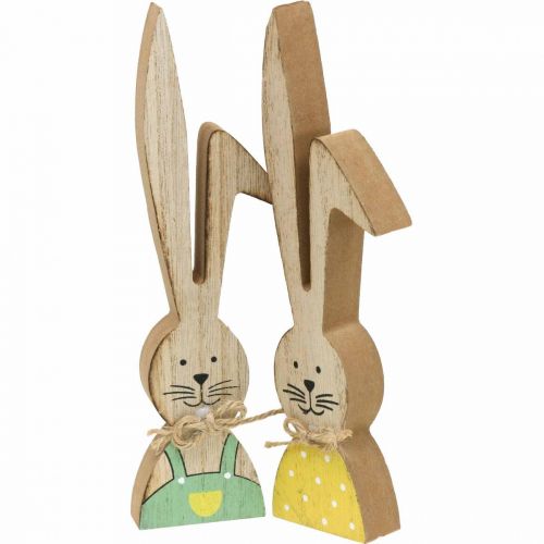 Hasenmama Avec Enfant Paire de Lapin Couronne Fleurs Pâques Shabby