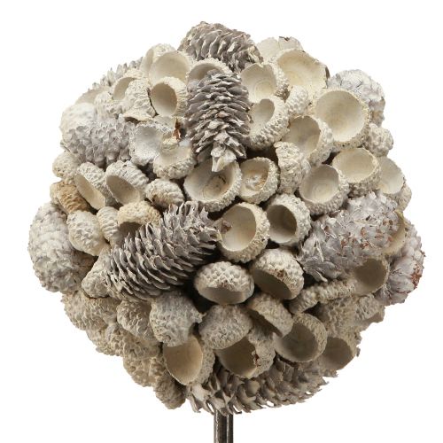 Article Déco arbre en bois décoration hiver bouleau glands cônes blanc H40cm