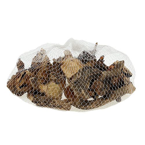 Article Bois racine nature 6cm-13cm 500g