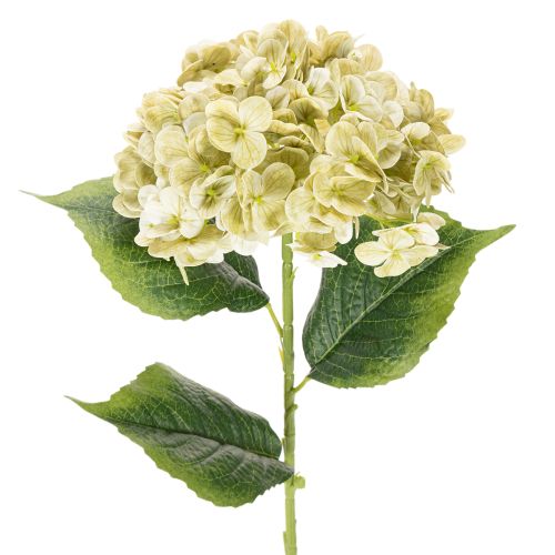 Article Hortensia artificielle avec tige longue et feuilles 60 cm crème-vert