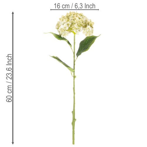 Article Hortensia artificielle avec tige longue et feuilles 60 cm crème-vert