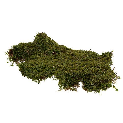 500 gr mousse naturelle verte pour composition florale decorations florales couponmozo
