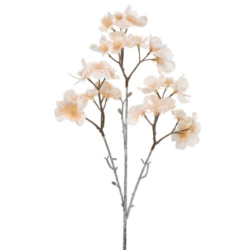 Fleurs de cerisier : symbole et tradition - PagesJaunes