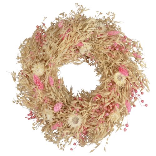 Floristik24 Couronne décorative couronne d&#39;avoine couronne naturelle fleurs de paille rose Ø29cm