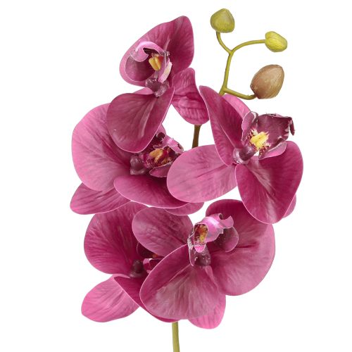 Article Orchidées artificielles fleurs artificielles violettes comme de vraies 56cm 3 pcs