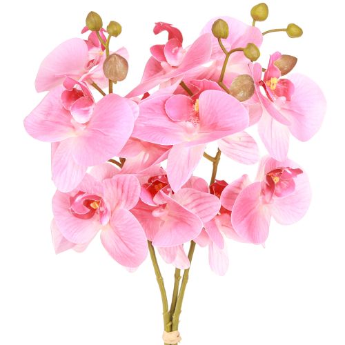 Orchidées artificielles fleurs artificielles roses comme de vraies 56cm 3pcs