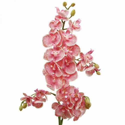 Orchidées artificielles déco fleur artificielle orchidée  rose 71cm-08312