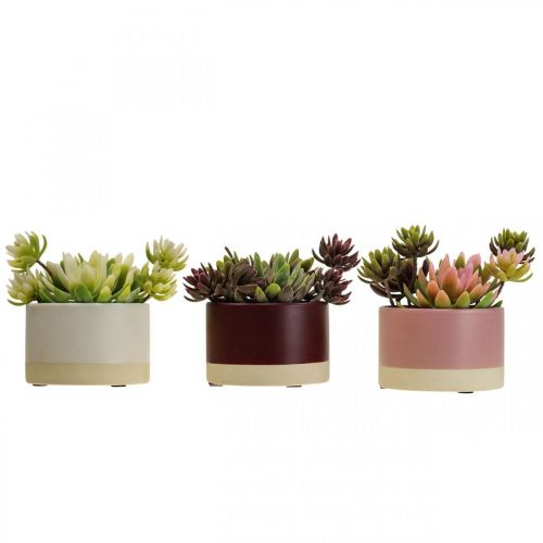 Floristik24 Plantes artificielles en pots succulentes artificielles H13cm 3pcs