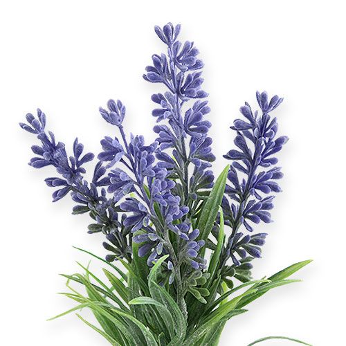 Floristik24 Lavande artificielle mauve 25cm