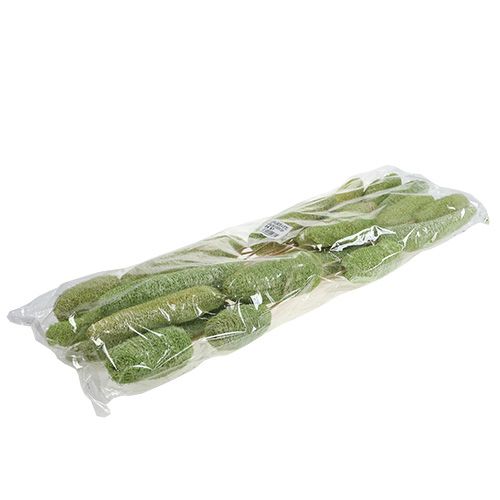 Article Luffa grand sur bâton vert 25 pcs