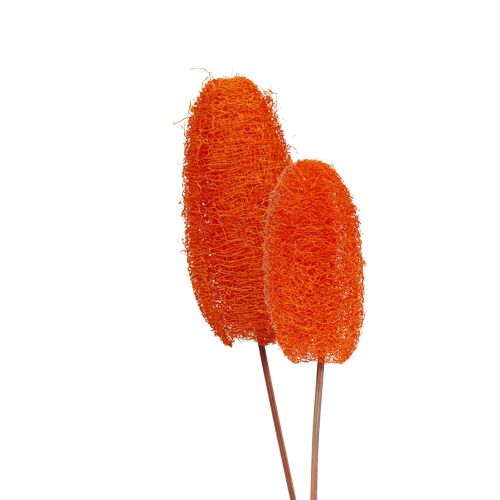 Luffa petit sur bâton orange 25 pcs