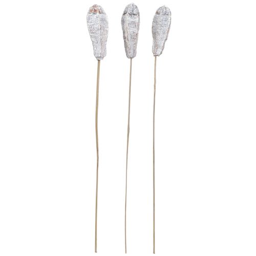 Article Cosses d&#39;acajou décoration sèche blanc naturel 45cm 50 pcs