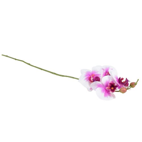 Article Orchidée Phalaenopsis Artificielle 4 Fleurs Blanc Rose 72cm