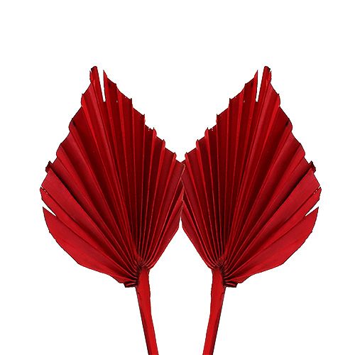 Palmspear mini rouge 100 pcs