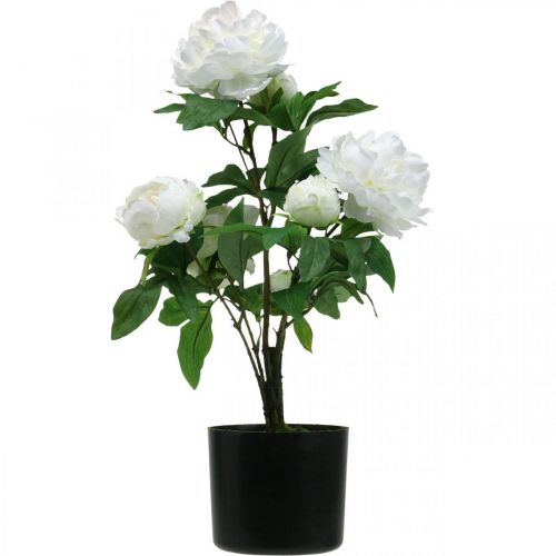 Article Paeonia artificielle, pivoine en pot, plante décorative fleurs blanches H57cm