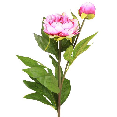 Pivoines Fleurs Artificielles à Longue Tige Rose 70cm 3pcs