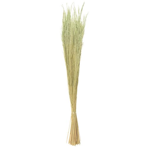 Article Herbe courbée Agrostis Capillaris Graminées Sèches Vert 65cm 80g