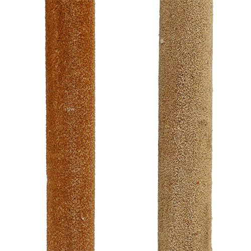 Article Mélange de bulbes de roseaux roseaux décoratifs naturels 70cm 100 pcs