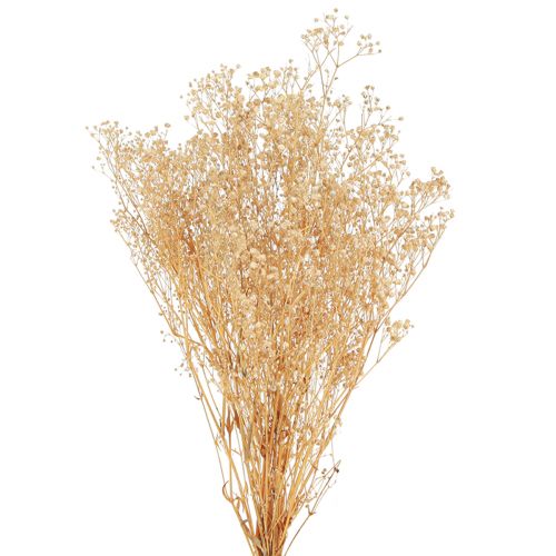 Gypsophile Pensée Gypse Herbe Fleurs blanches 50cm 55g