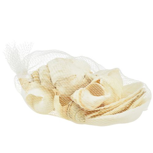 Article Décoration Coquille d&#39;Escargot Décoration de Table Maritime Blanc Naturel 350g