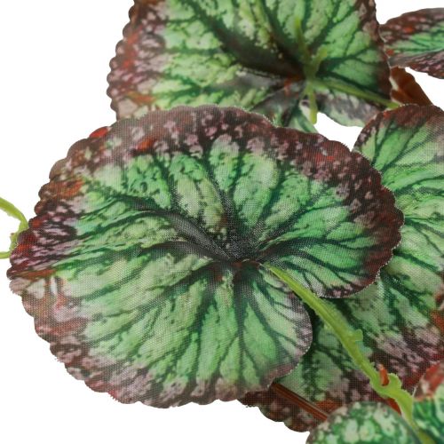 Article Guirlande décorative Saxifrage artificielle verte Saxifraga 152cm